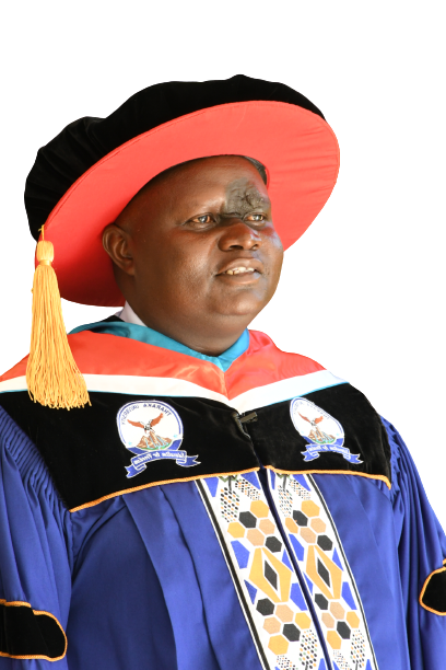 Vice Chancellor